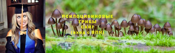 твердый Каменск-Шахтинский