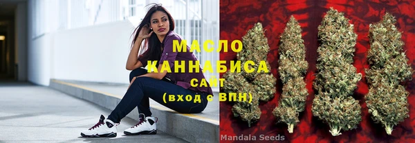 mdpv Инсар