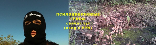 mdpv Инта