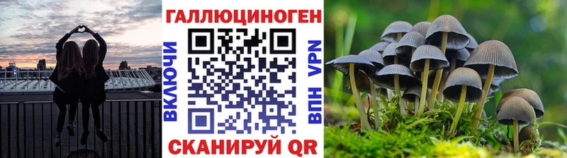 Псилоцибиновые грибы Cubensis  Купить где  Калтан 